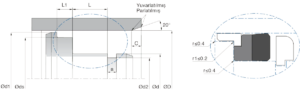 سطح مقطع پکینگ پیستون Kastas K43
